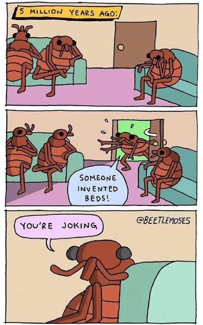 Post media
