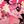 𝅄𐙚𝇌 Eternal Sugar x Hollyberry CF !¡.. 🌸𝅄 avatar