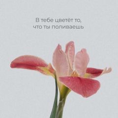 Вместе в мире🕊️ avatar