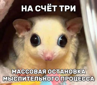 Post media