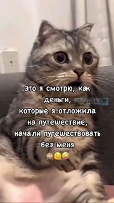Post media