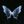 𝖕𝖆𝖕𝖚𝖑𝖆🦋 avatar