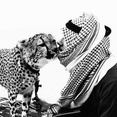 ذرّب avatar