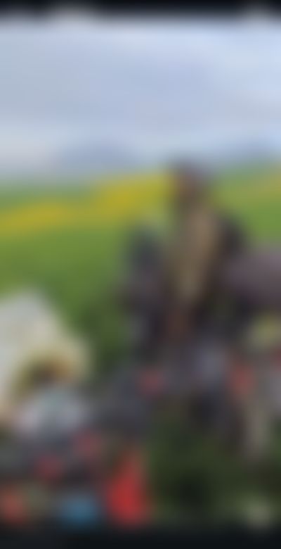 Post media background