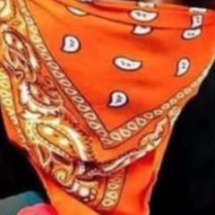 radik avatar