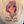 weird anime avatar