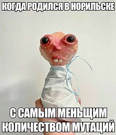 Post media