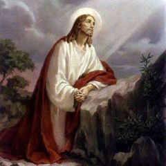 Oraciones Católicas que liberan y sanan. avatar