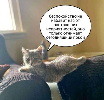 Post media