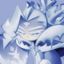 ♯Frost Queen Cookie confession ❄️ Avatar