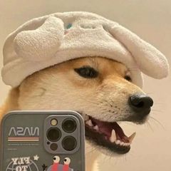 贴纸包 表情包 😍 avatar