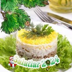 🥗SALATLAR 2024🥗 avatar
