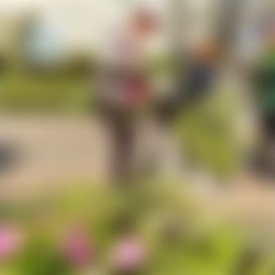 Post media background