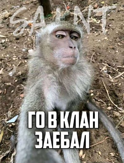 Post media