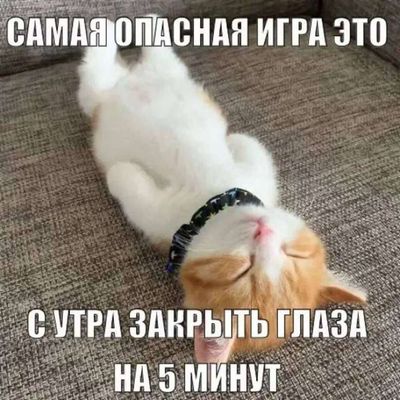 Post media