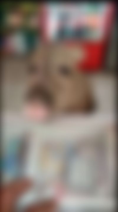 Post media background