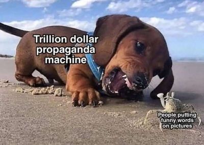 Post media