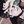 🔒Futo Kai avatar