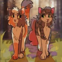 📔 || Cats Warriors Confession avatar