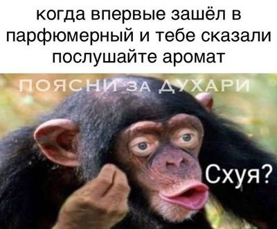 Post media