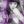 𝐀𝐋𝐔𝐑𝐈𝐀 avatar