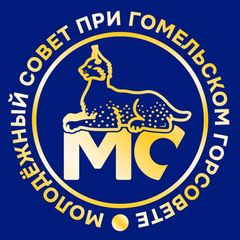Молодёжный совет Гомеля avatar