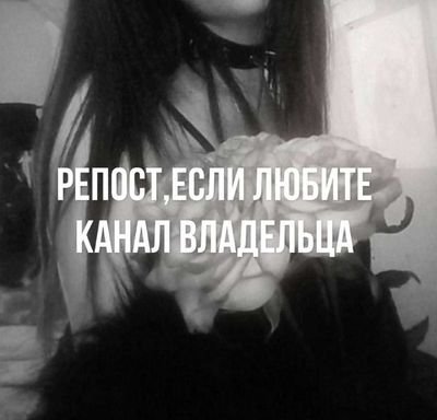 Post media