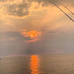 Риболовля в Нідерландах - Fishing in Netherlands avatar