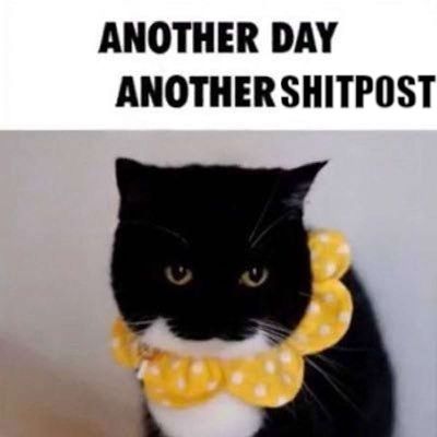 Post media