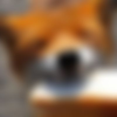 Post media background