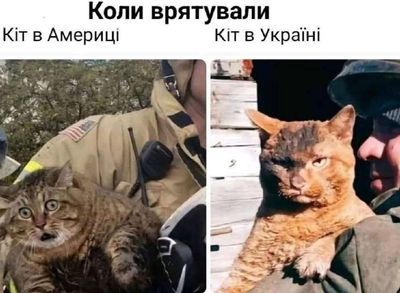 Post media