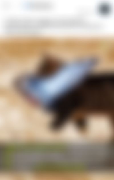 Post media background