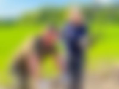 Post media background