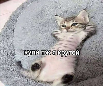Post media