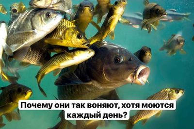 Post media