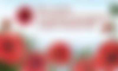 Post media background