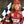 The Grid Girls avatar
