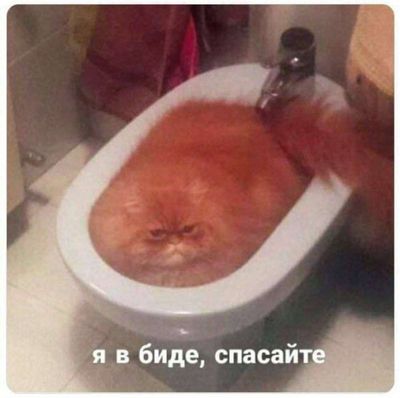 Post media