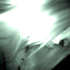 alicetearz* avatar