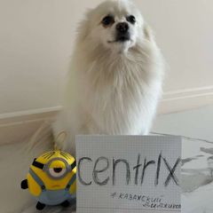 centrlx #notta avatar