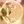 𝐋𝐈𝐅𝐄⏖ 𝓒𝘦𝘭𝘦𝘴𝘵𝘪𝘢𝘭 𝓒𝘳𝘺𝘴𝘵𝘢𝘭 ݂ ۶ৎ avatar