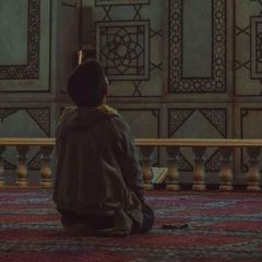 قرة عيون المحبين avatar
