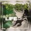 𝖲𝗉𝗋𝗂𝗇𝗀 𝗆𝗈𝗋𝗇𝗂𝗇𝗀 #life Avatar