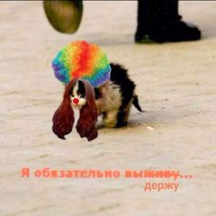 я обязательно выдержу avatar