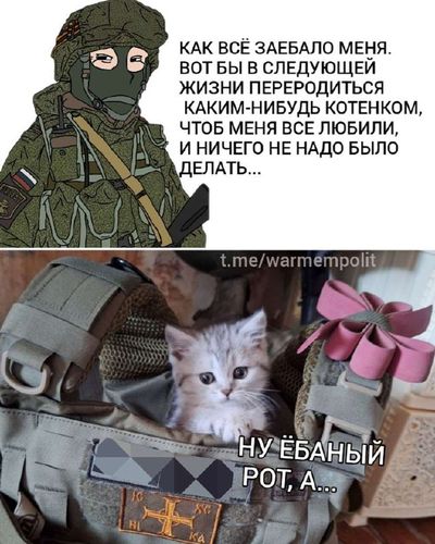 Post media