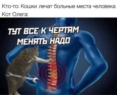 Post media