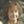 Lord of the Rings memes avatar