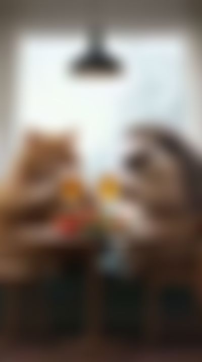 Post media background