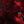⸝⸝ 𝖨𝖭𝖥ᝪ 𐔌 𝖿ⱺ𝗋𝗌α𝗄𝖾𐓣 ⸝⸝꒱ avatar