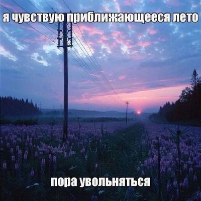 Post media